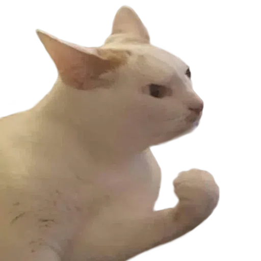 2 - Sticker 17