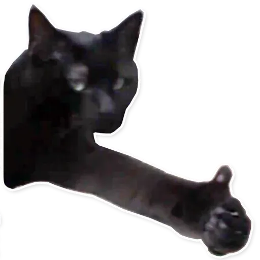 Fuckats - Sticker 23