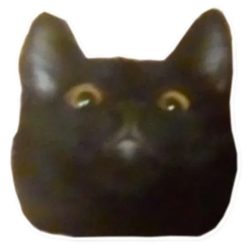 Fuckats - Sticker 13