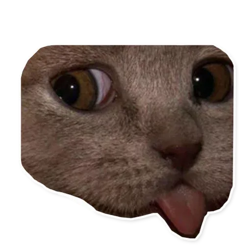 Fuckats - Sticker 21
