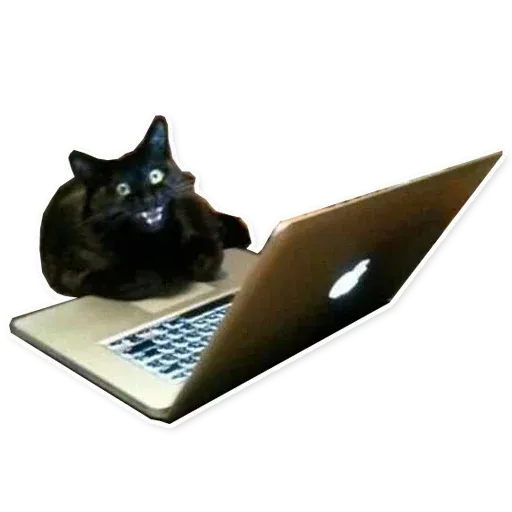 Fuckats - Sticker 25