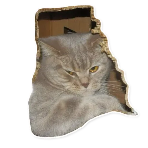 Fuckats - Sticker 26