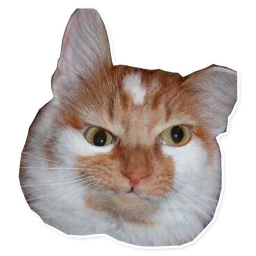 Fuckats - Sticker 22