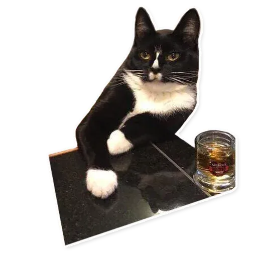 Fuckats - Sticker 30