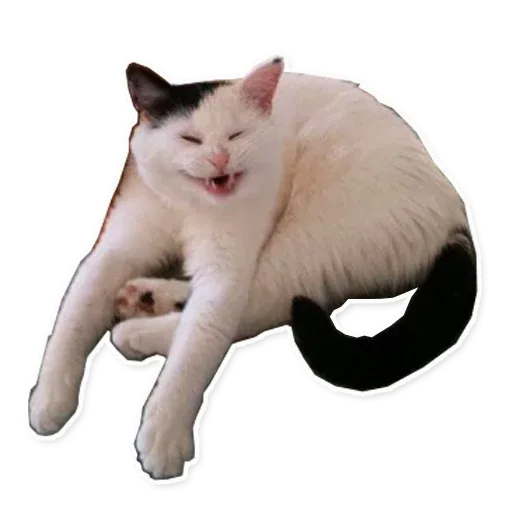 Fuckats - Sticker 15