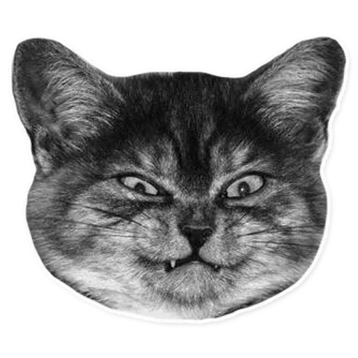 Fuckats - Sticker 28