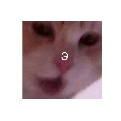 Bitmka - Sticker 17