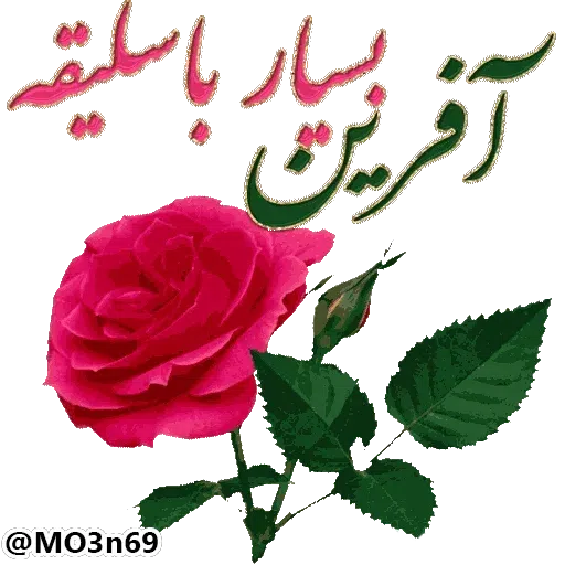 Text - Sticker 12