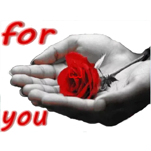 Text - Sticker 24