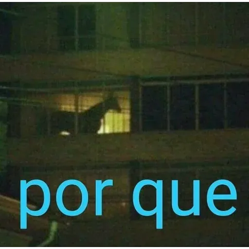 gatos y memes - Sticker 11