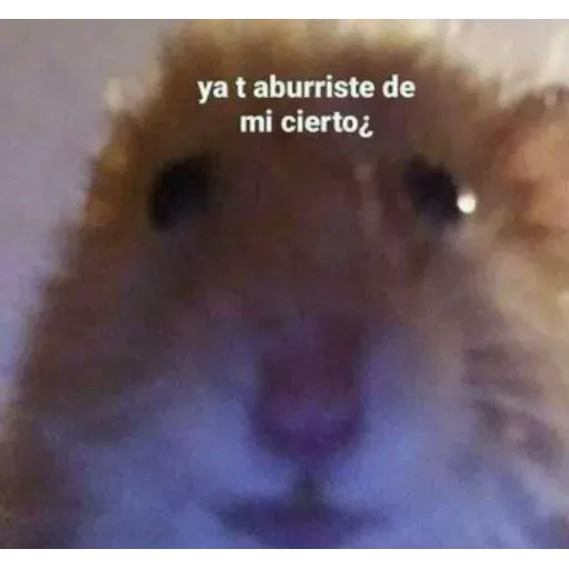 gatos y memes - Sticker 17