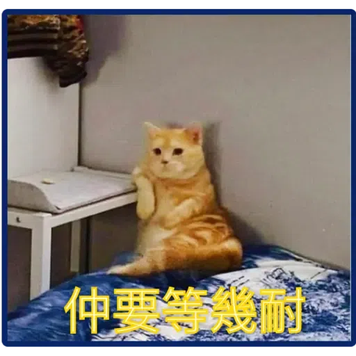 貓2 - Sticker 15