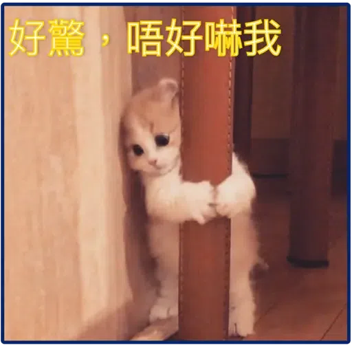 貓2 - Sticker 14
