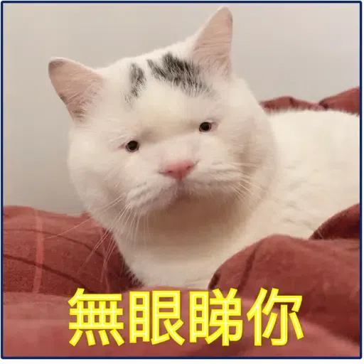 貓2 - Sticker 13
