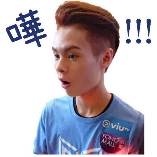 Tiger - Sticker 27