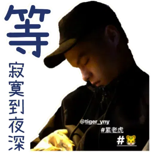 Tiger - Sticker 20