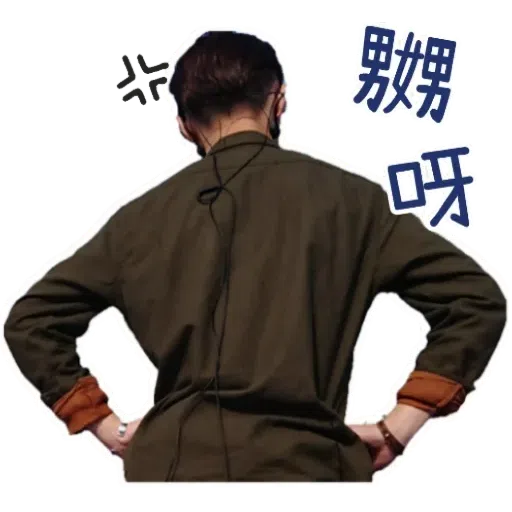 Tiger - Sticker 30