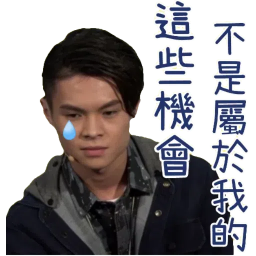 Tiger - Sticker 19