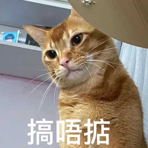 金絲貓5 - Sticker 21