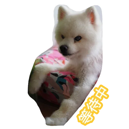 egan - Sticker 12