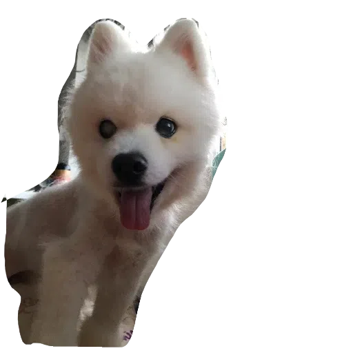 egan - Sticker 11