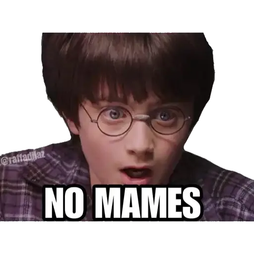 Harry Potter - Sticker 9