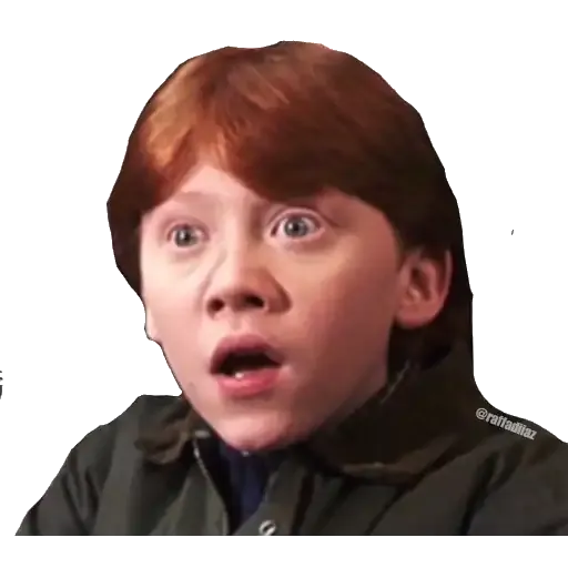 Harry Potter - Sticker 13