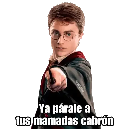 Harry Potter - Sticker 21