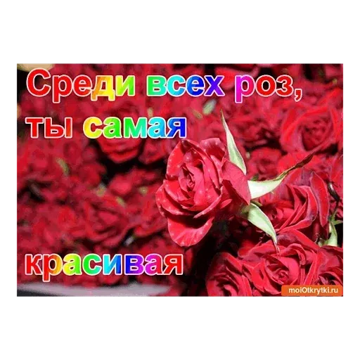 Мир самоубийца - Sticker 23