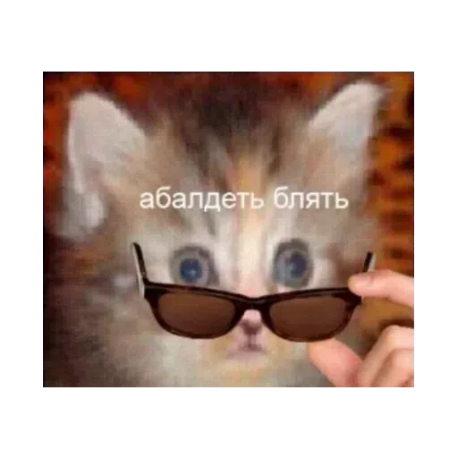 Мир самоубийца - Sticker 26