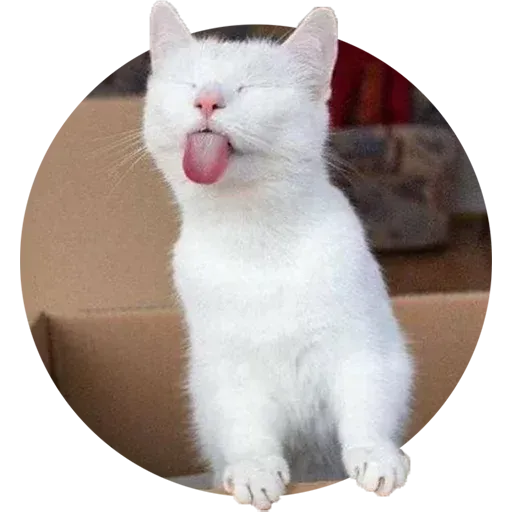 Animals - Sticker 13