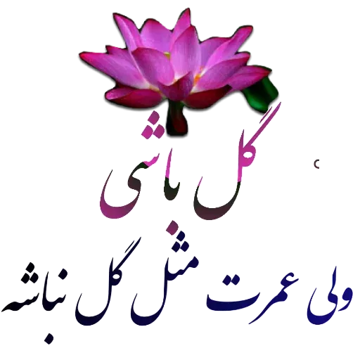 مراد اکبری ۲ - Sticker 30