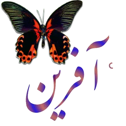 مراد اکبری ۲ - Sticker 29
