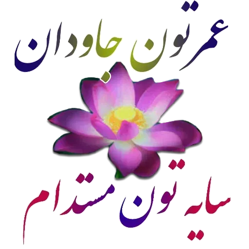 مراد اکبری ۲ - Sticker 22
