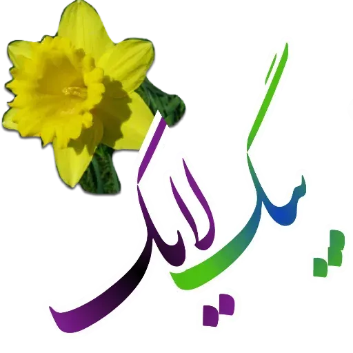 مراد اکبری ۲ - Sticker 20