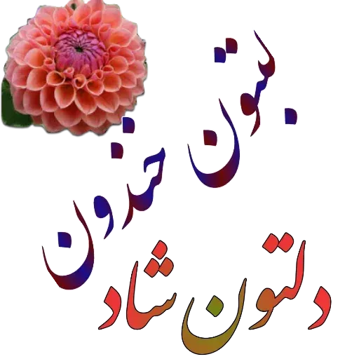 مراد اکبری ۲ - Sticker 26