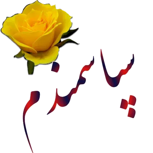 مراد اکبری ۲ - Sticker 27
