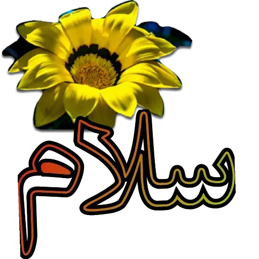 مراد اکبری ۲ - Sticker 17