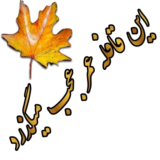 مراد اکبری ۲ - Sticker 12