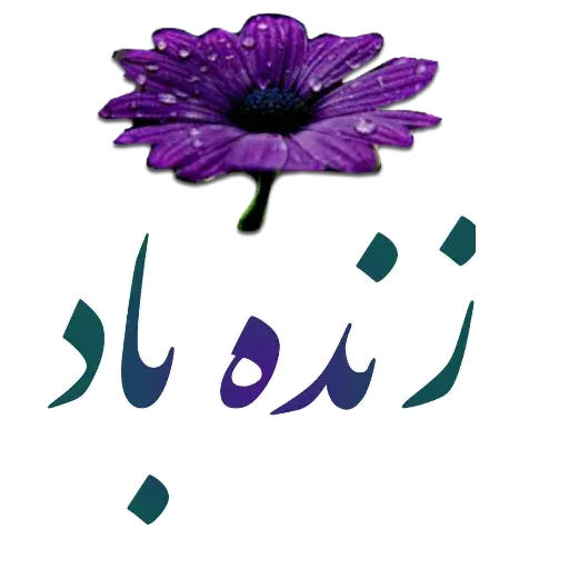 مراد اکبری ۲ - Sticker 10