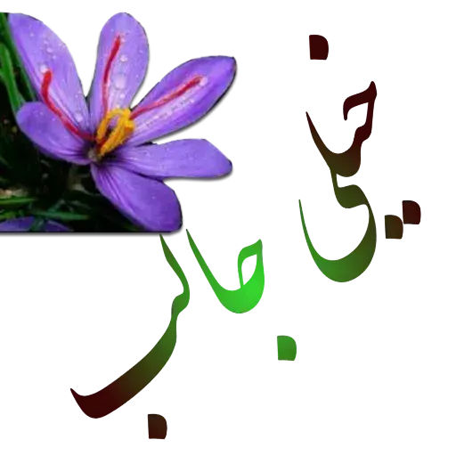 مراد اکبری ۲ - Sticker 24