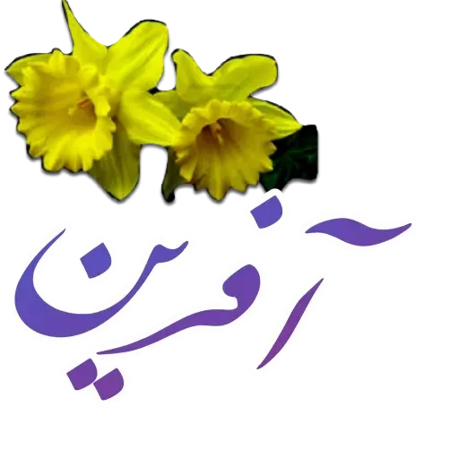 مراد اکبری ۲ - Sticker 25