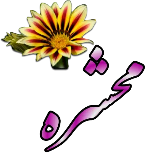 مراد اکبری ۲ - Sticker 14