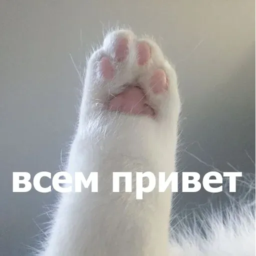 Bitmk - Sticker 11