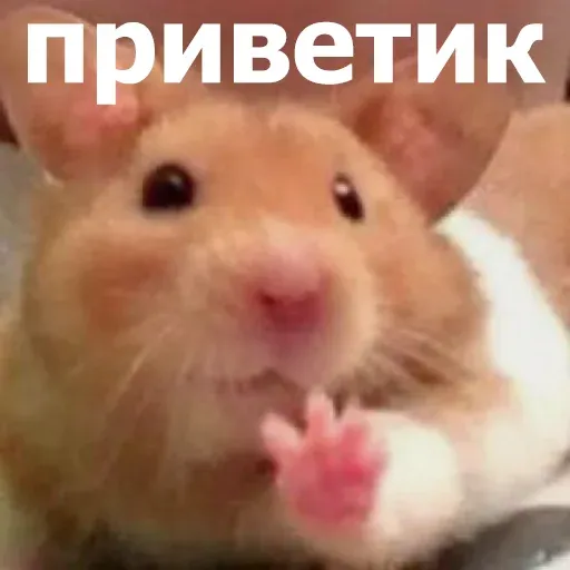 Bitmk - Sticker 12