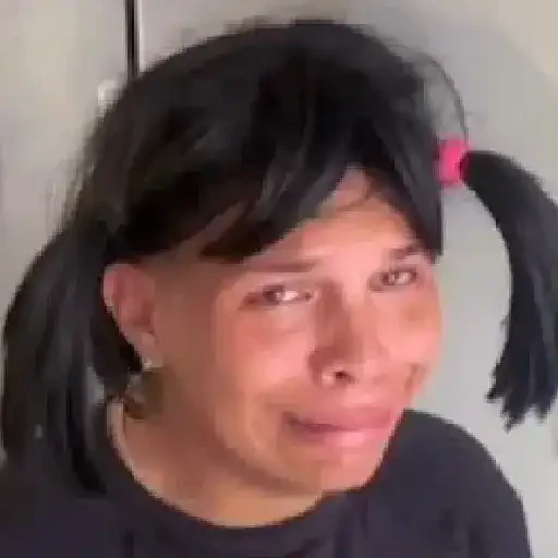 TikTok Animated Memes 2 - Sticker 19