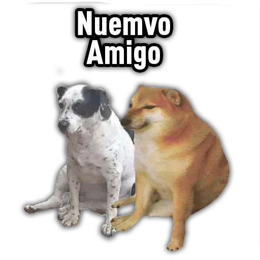 Cheems1 - Sticker 29