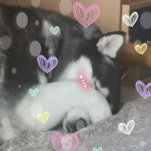 purry - Sticker 14
