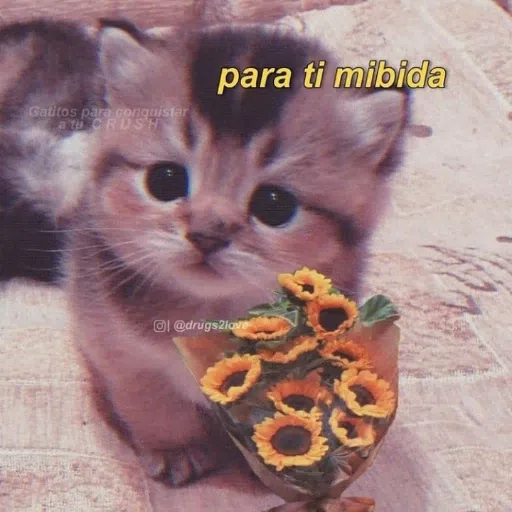 variadito new - Sticker 10
