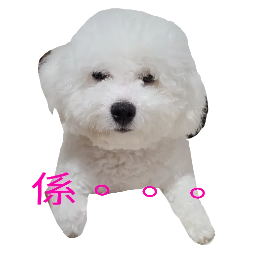 JoJo2 - Sticker 21